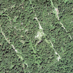 Satellite imagery of Rote Flue, CH
