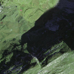 Satellite imagery of Sattel, CH