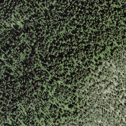 Satellite imagery of Gebrünstjiegg, CH