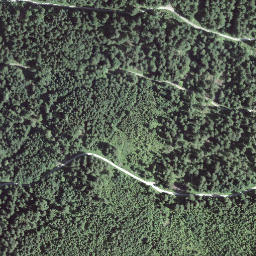 Satellite imagery of Gustigrat, CH