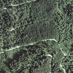 Satellite imagery of Gustigrat, CH