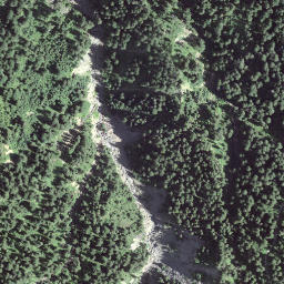 Satellite imagery of Gustigrat, CH