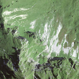 Satellite imagery of Leiterepass, CH
