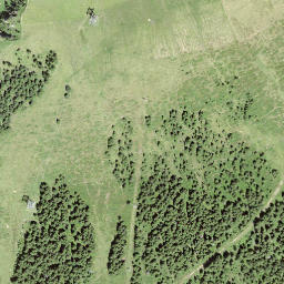 Satellite imagery of Niederhorn, CH