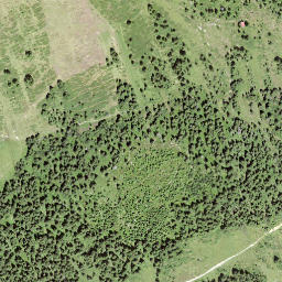 Satellite imagery of Niederhorn, CH