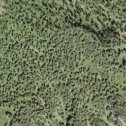 Satellite imagery of Bireflue, CH
