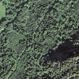 Satellite imagery of Wannichnubel, CH