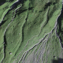 Satellite imagery of Schryberhorn, CH