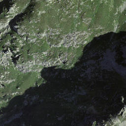 Satellite imagery of Miirligrätli, CH