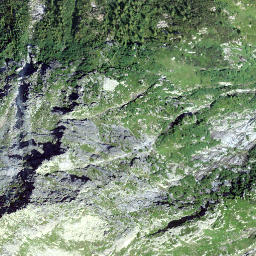 Satellite imagery of Mittagstock, CH