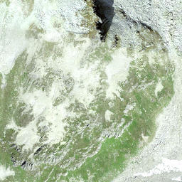 Satellite imagery of Schijen, CH