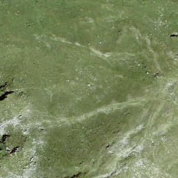 Satellite imagery of Mutta, CH