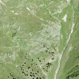Satellite imagery of Munt Baselgia, CH