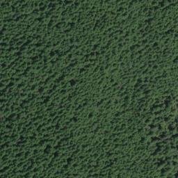 Satellite imagery of Backbone Ridge, US