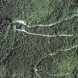 Satellite imagery of Gustigrat, CH
