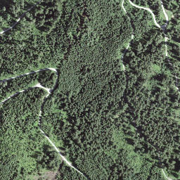 Satellite imagery of Gustigrat, CH