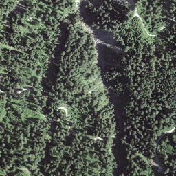 Satellite imagery of Gustigrat, CH