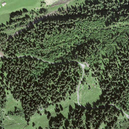 Satellite imagery of Litschgiburg, CH