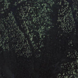 Satellite imagery of Wylerdümen, CH