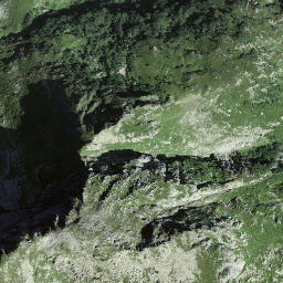 Satellite imagery of Fleschenhubel, CH