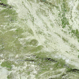 Satellite imagery of Piz Pardatschas, CH