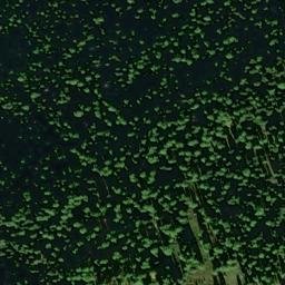 Satellite imagery of Bodmen, CH