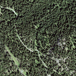 Satellite imagery of Muottas, CH