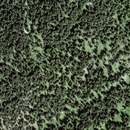 Satellite imagery of Muottas, CH