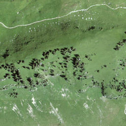 Satellite imagery of Leiterepass, CH