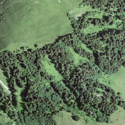 Satellite imagery of Schafschopf, CH