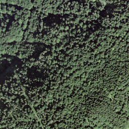 Satellite imagery of Harderkulm, CH