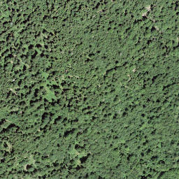 Satellite imagery of Wannichnubel, CH