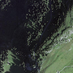 Satellite imagery of Axalphoren, CH
