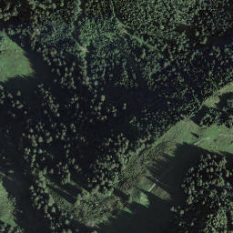 Satellite imagery of Bächliegg, CH