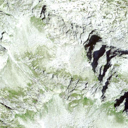 Satellite imagery of Wildenlauwenenhöreli, CH