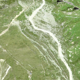 Satellite imagery of Piz las Palas, CH