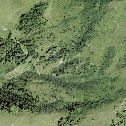 Satellite imagery of Crest da Cauras, CH