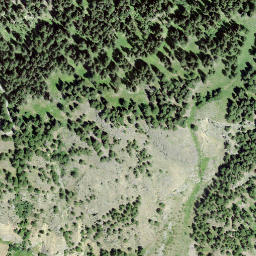 Satellite imagery of Muottas, CH