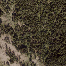 Satellite imagery of Grifitzbühel, AT