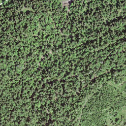 Satellite imagery of Crêt Cantin, CH