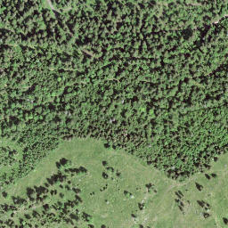 Satellite imagery of Crêt Cantin, CH