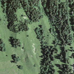 Satellite imagery of Fürstein, CH