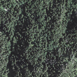 Satellite imagery of Tannegg, CH