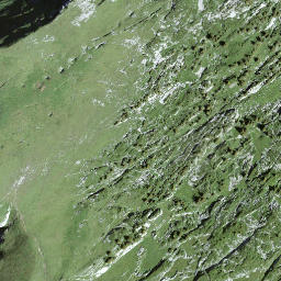 Satellite imagery of Litschgiburg, CH