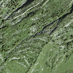 Satellite imagery of Litschgiburg, CH