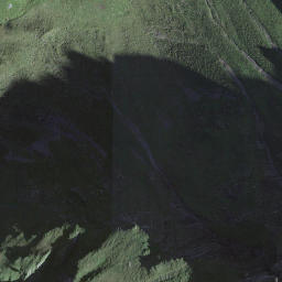 Satellite imagery of Axalphoren, CH