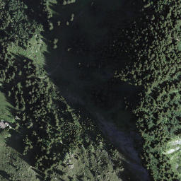 Satellite imagery of Bächliegg, CH