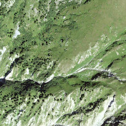 Satellite imagery of Crest da Cauras, CH