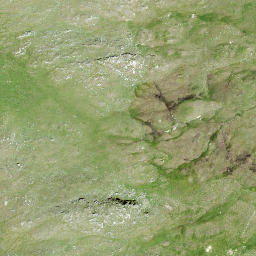 Satellite imagery of Grener Berg, CH