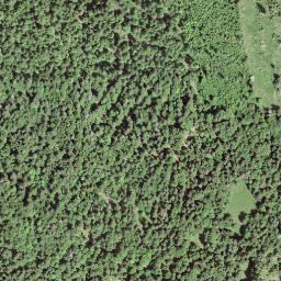 Satellite imagery of Crêt Cantin, CH